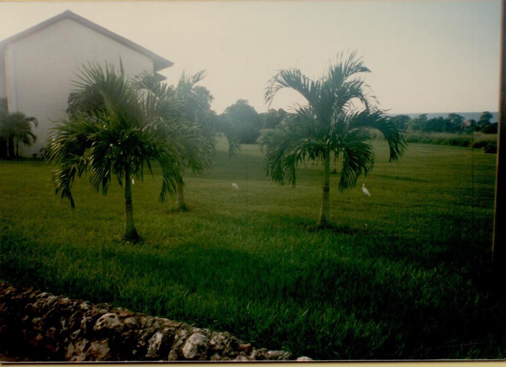 DBMS Trip to Casa de Campo 1988-39