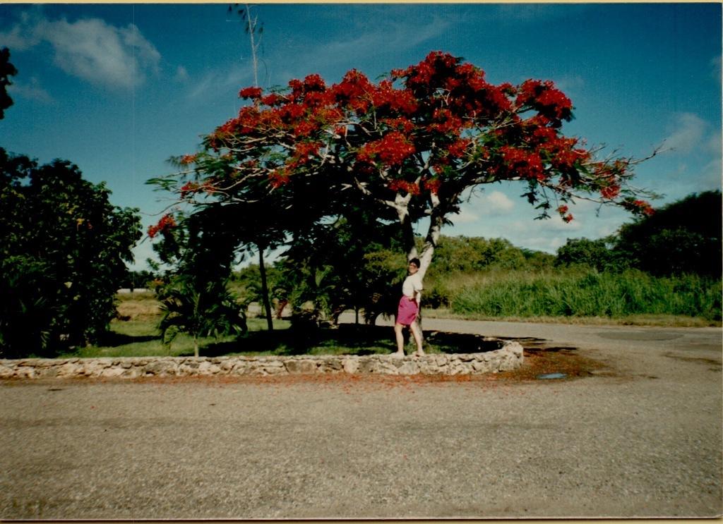 DBMS Trip to Casa de Campo 1988-62