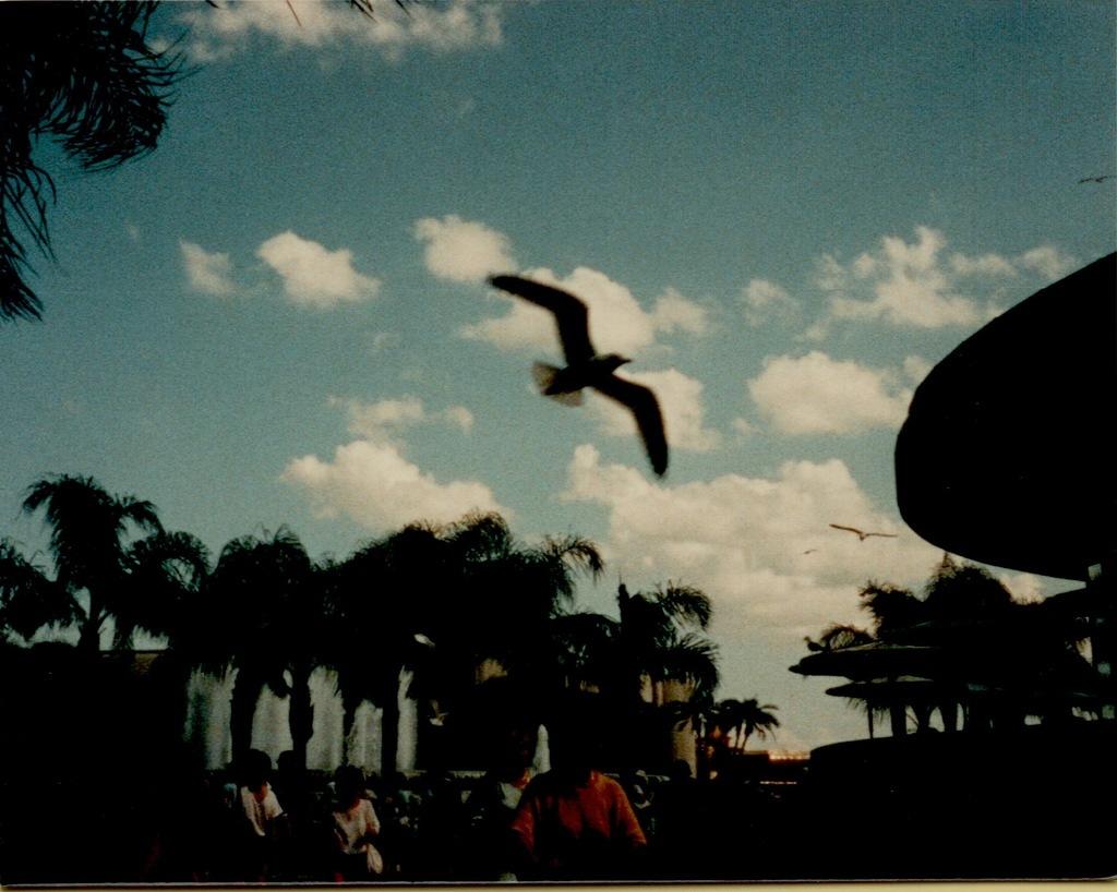 Disney World Spring 1986-11