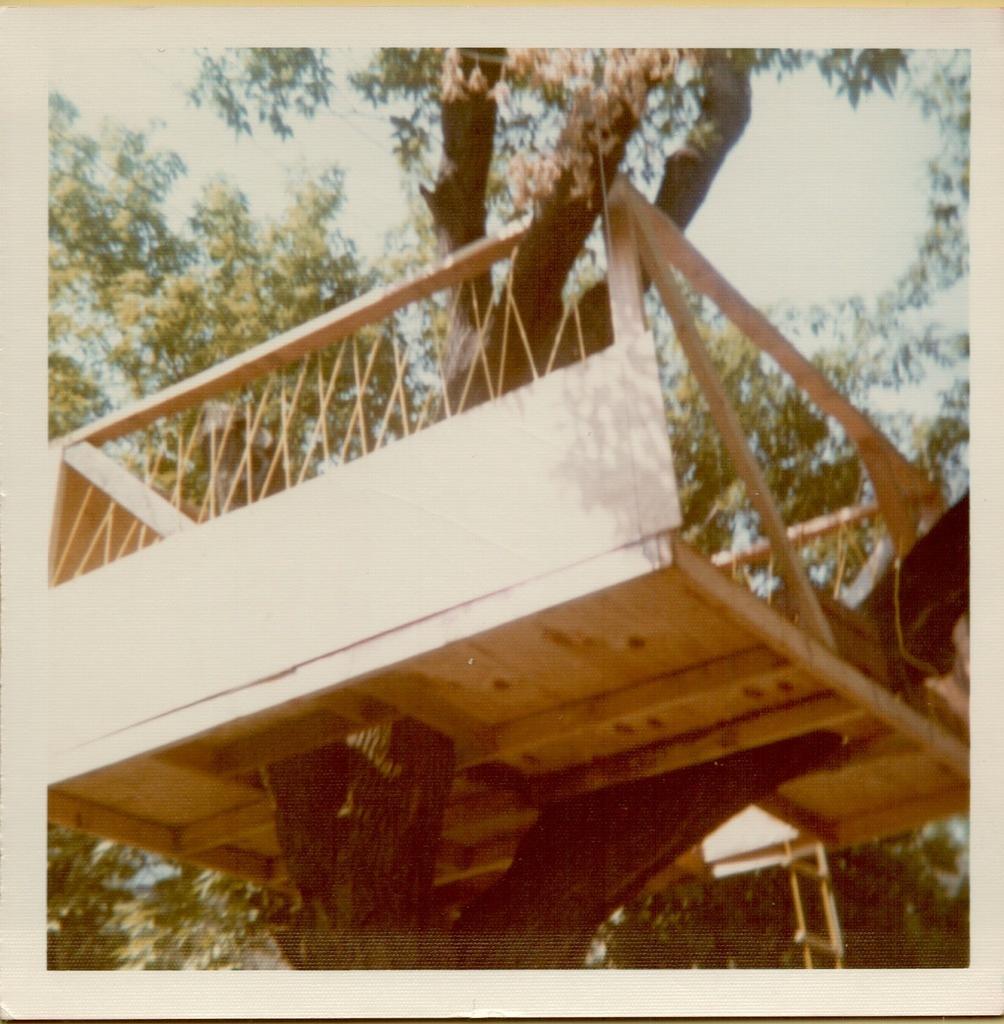 Elm Street Tree House 1975