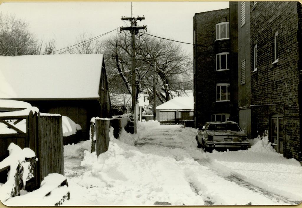 Elm Street Winter 1978-12