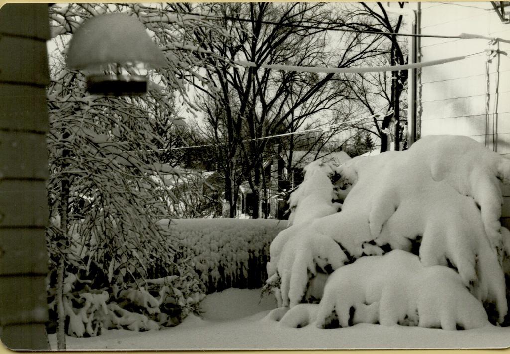 Elm Street Winter 1978-19