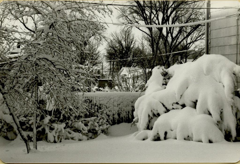 Elm Street Winter 1978-23