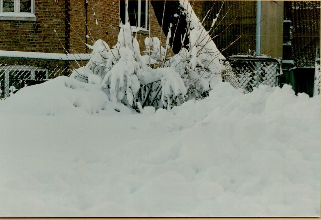 Elm Street Winter-4