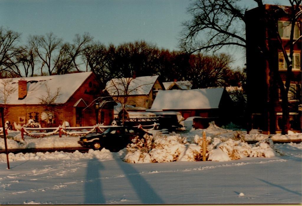 Elm Street Winter-9