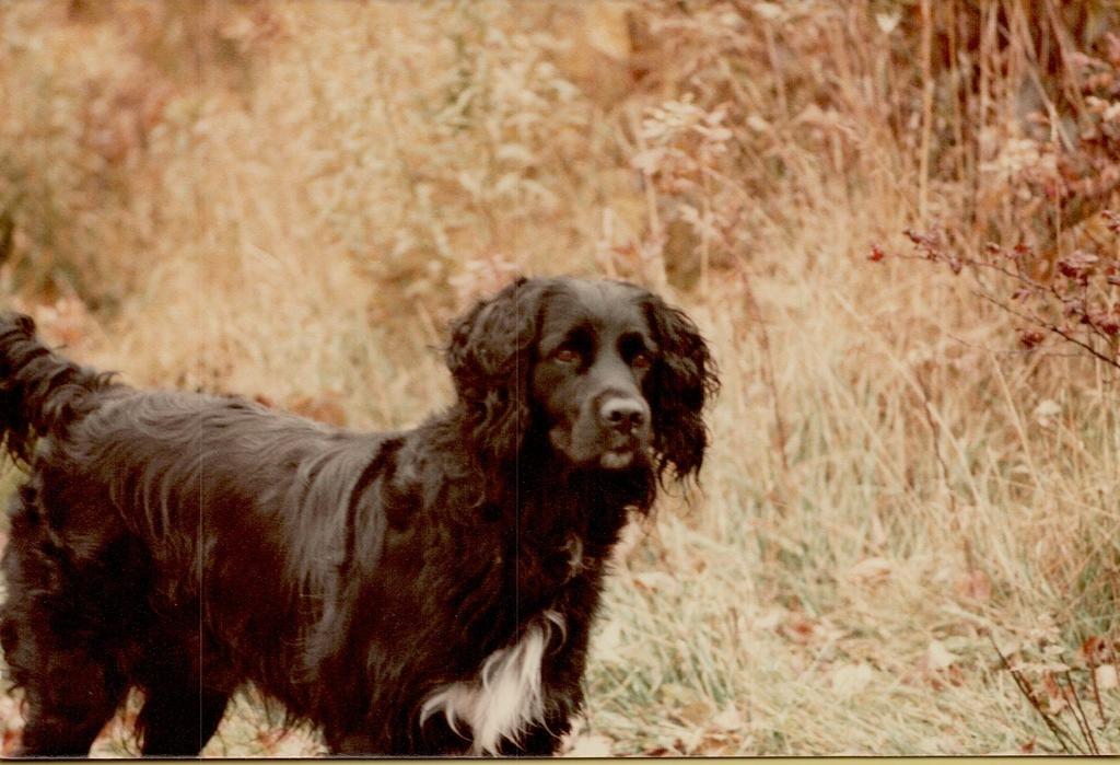 Friendship Wisc 1986-19