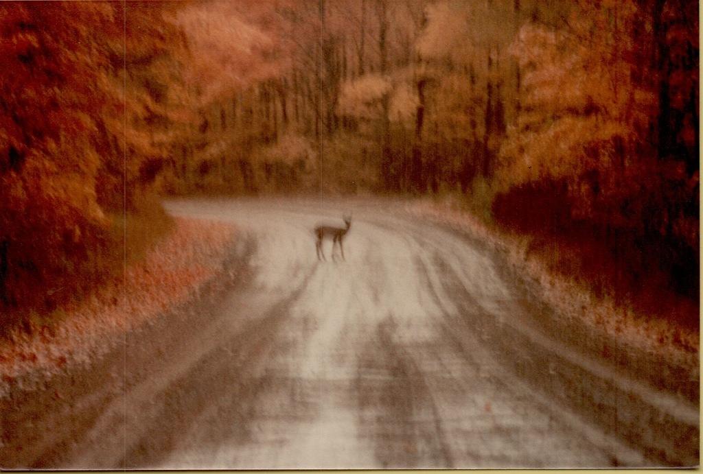 Friendship Wisc 1986-20