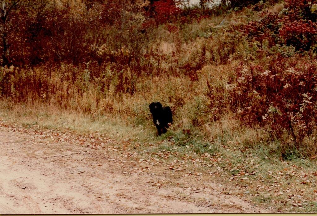 Friendship Wisc 1986-9