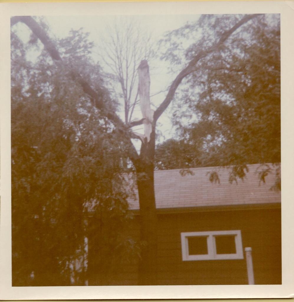 Tornado Damage 8:1972-2