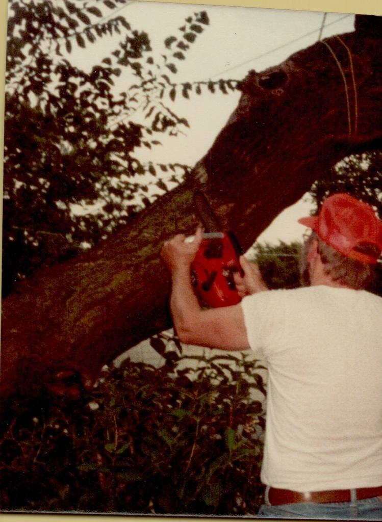 Tree House limb falls Bob Musa 1983