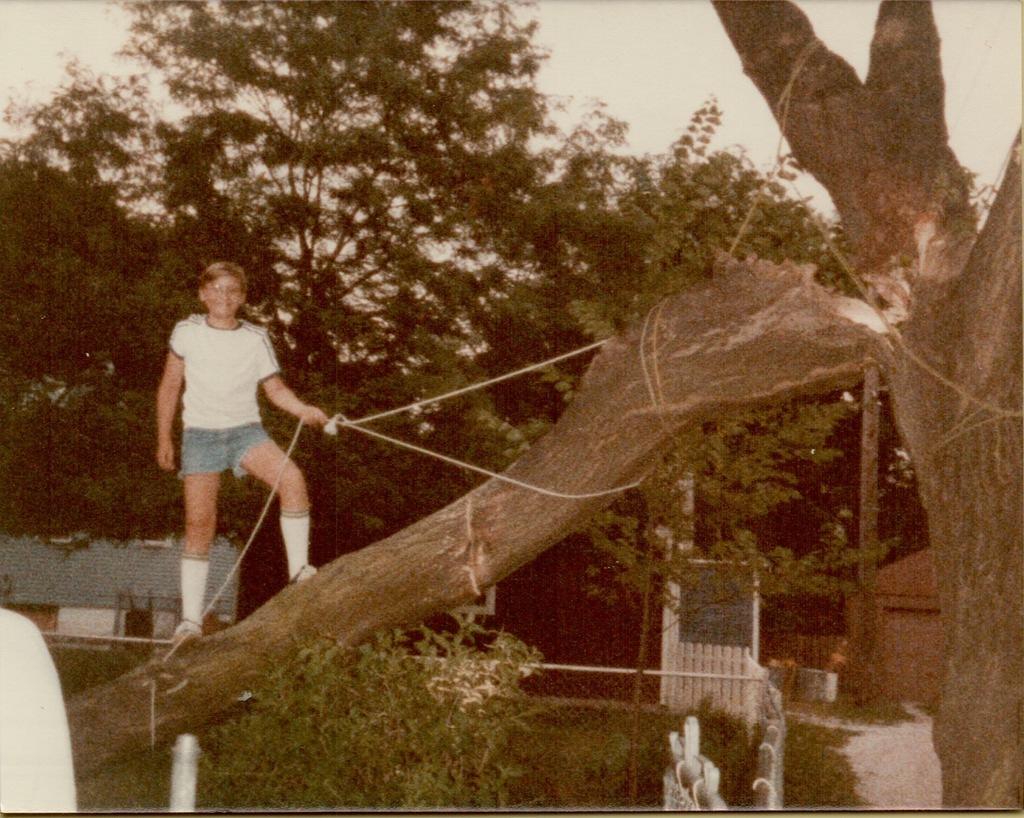 Tree House limb falls Tim Musa 1983