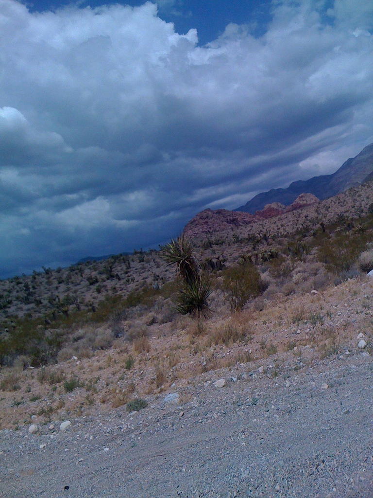 Las Vegas - on the way to Red Rock Canyon