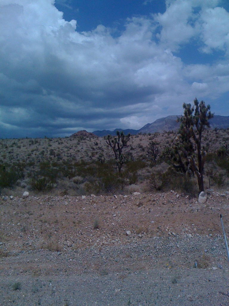 Las Vegas - on the way to Red Rock Canyon