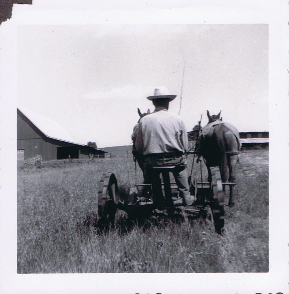 Creal Springs Farm 8/1950 Coy Kelley