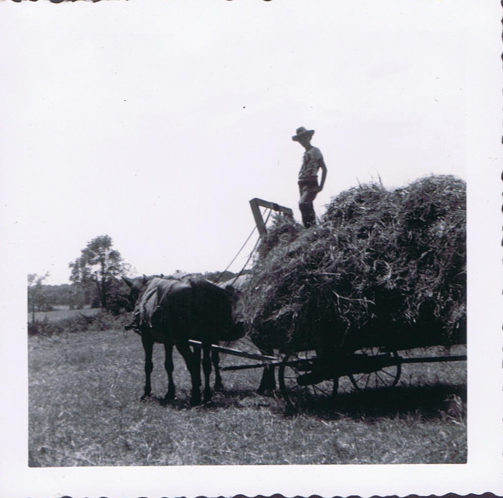 Creal Springs Farm 8/1950 Bobby Musa