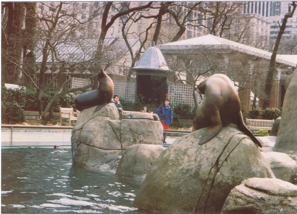  Central Park Zoo Karen's NY City Trip 1992