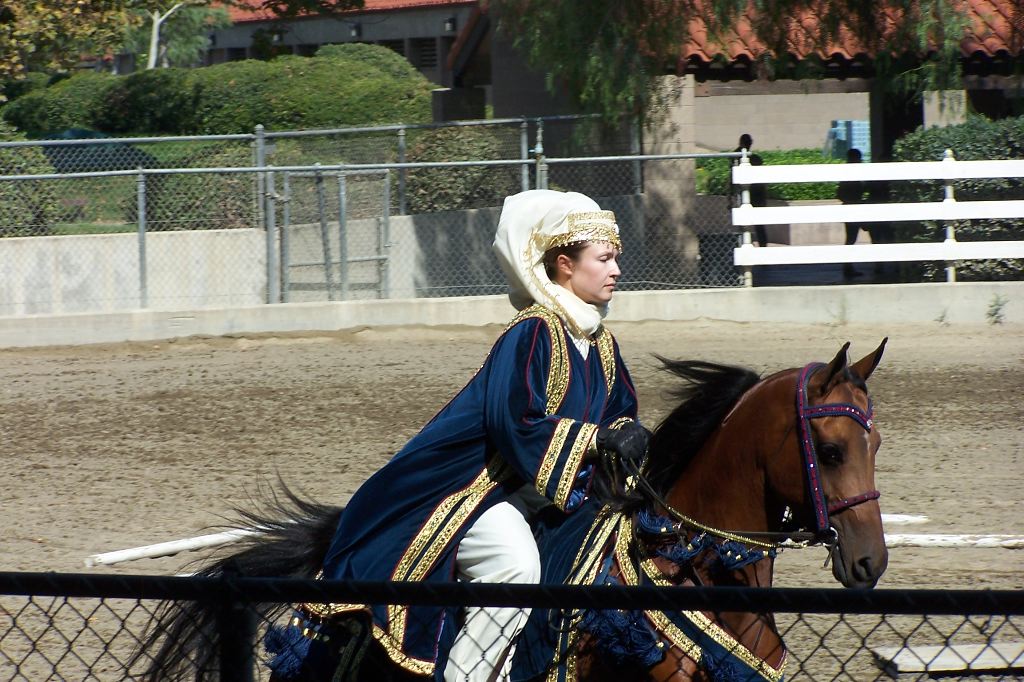 Arabian Horse - Arabian Style