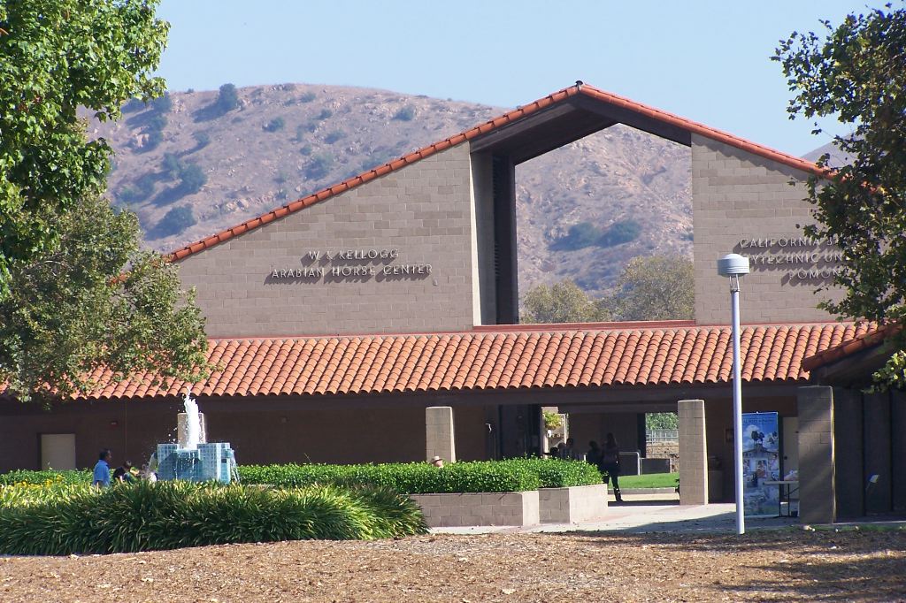 Cal Poly's Kellogg Arabian Horse Center