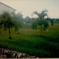 DBMS Trip to Casa de Campo 1988-39