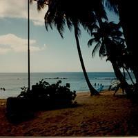 DBMS Trip to Casa de Campo 1988-44