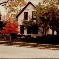 Elm Street Crimson King Maple-4