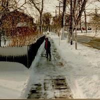 Elm Street Winter 1978-1