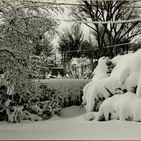 Elm Street Winter 1978-23