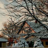 Elm Street Winter-2