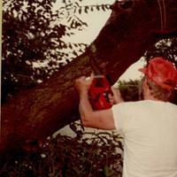 Tree House limb falls Bob Musa 1983