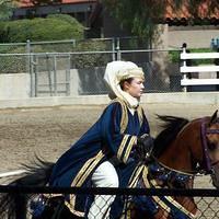 Arabian Horse - Arabian Style