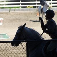 Egg on spoon going in mouth at canter.